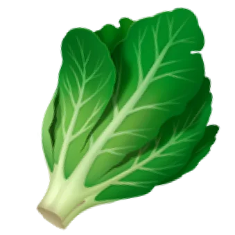 cabbage