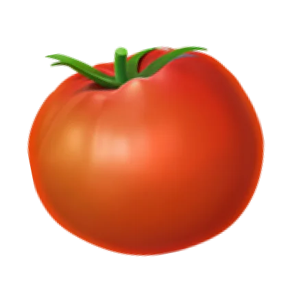 tomatoes